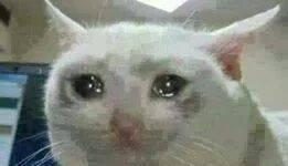 pleure.jpg